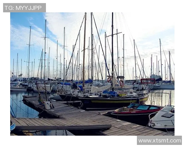 菲律宾与突尼斯足球历史对抗回顾与分析