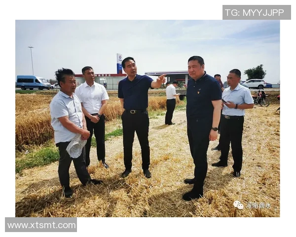 邱党在新时代的政治影响力与社会责任探讨