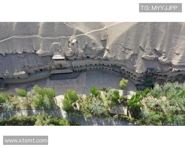 金鹰纪实频道探索真实世界的奇迹与故事带你领略不一样的视角与体验