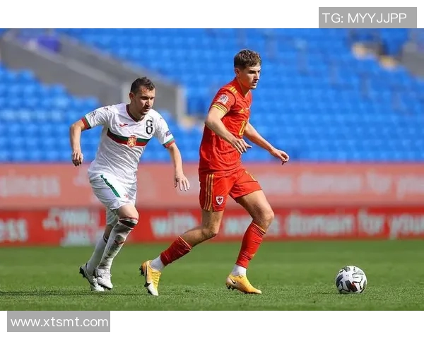 威尔士与保加利亚队员对决分析及比赛前瞻